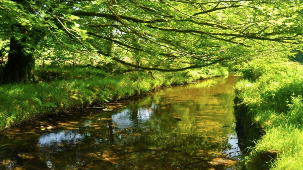 River Camel Cornwall